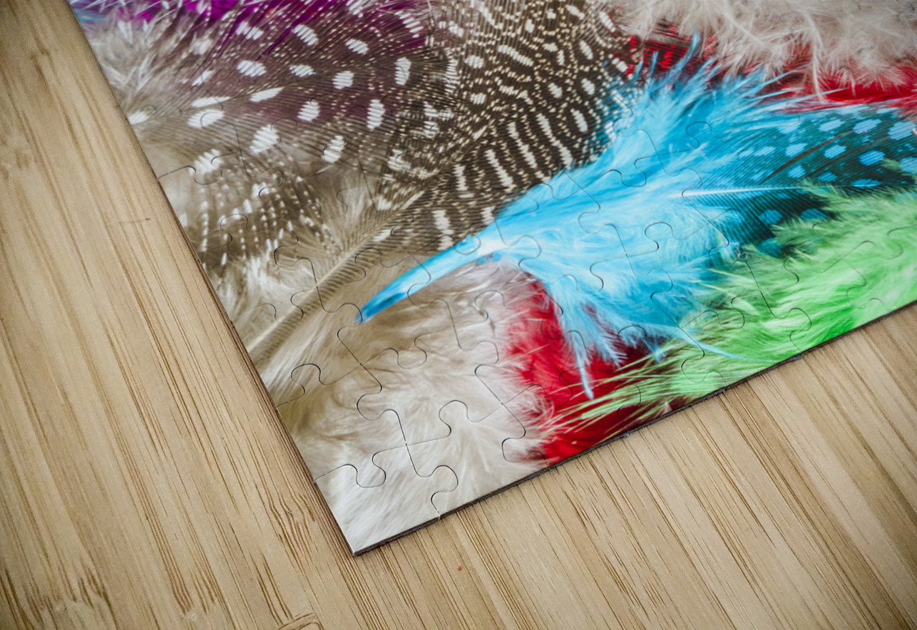 In quill colors Jorgo Puzzle