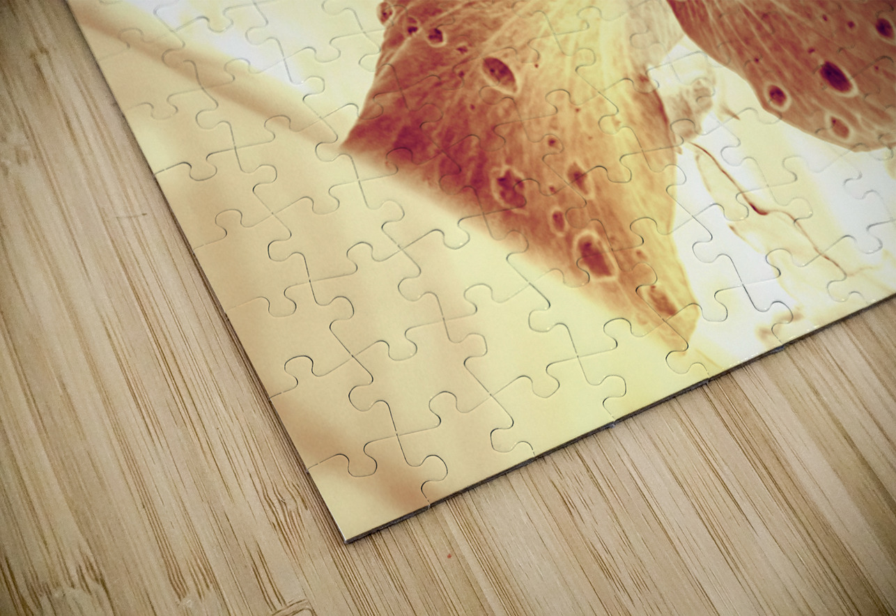 Hi-biscus Jorgo Puzzle