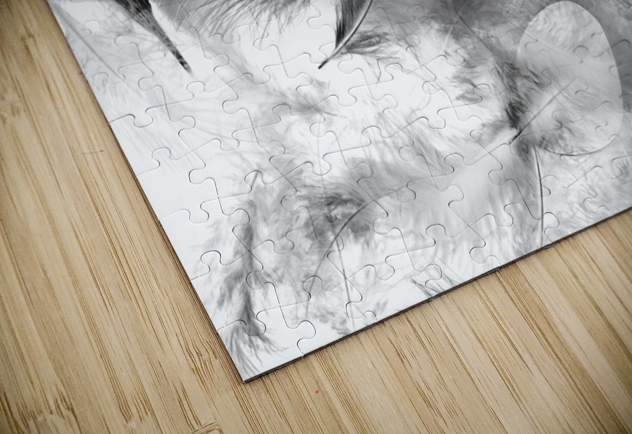 illusory design Jorgo Puzzle