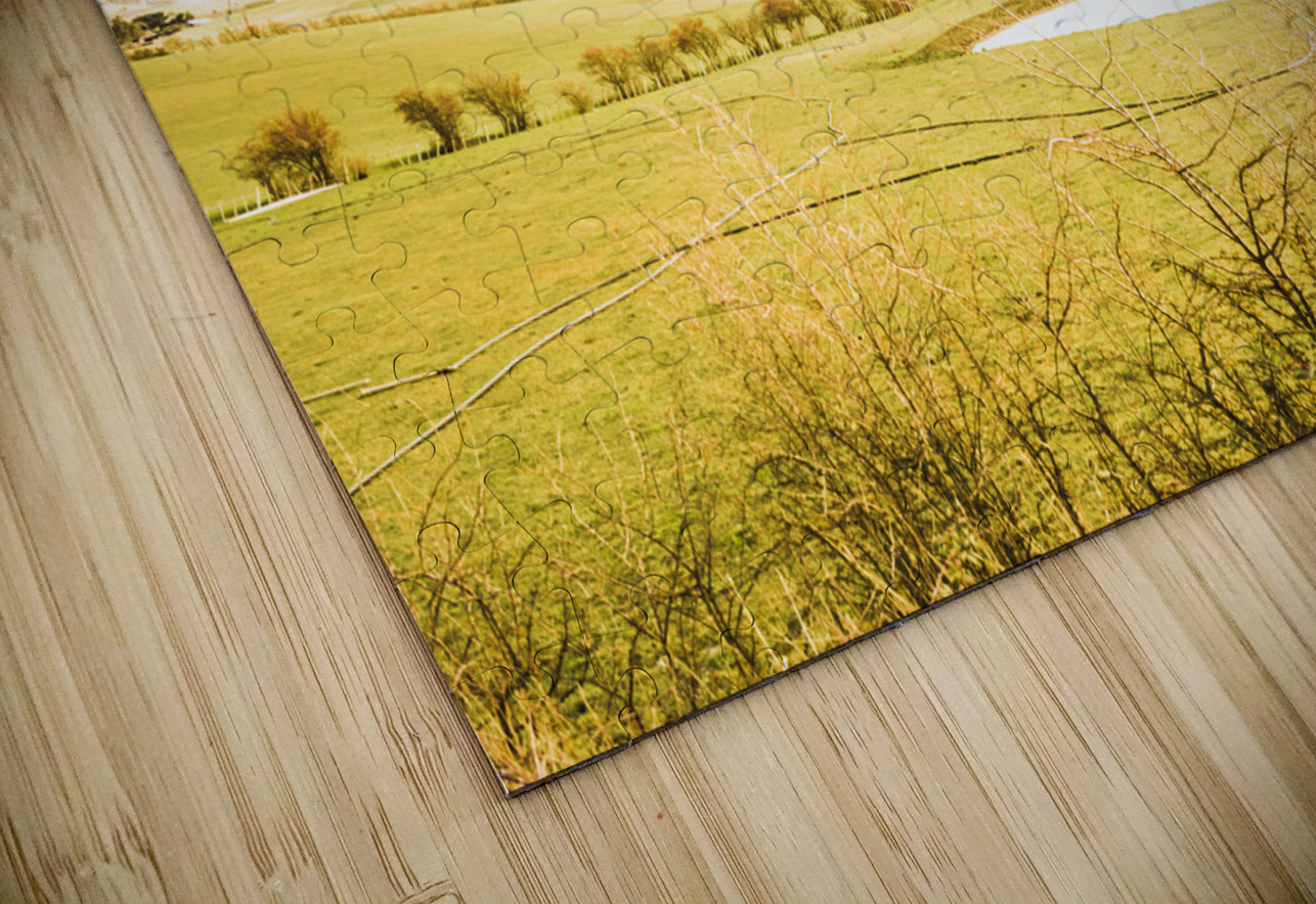 Fields of Plenty Jorgo Puzzle