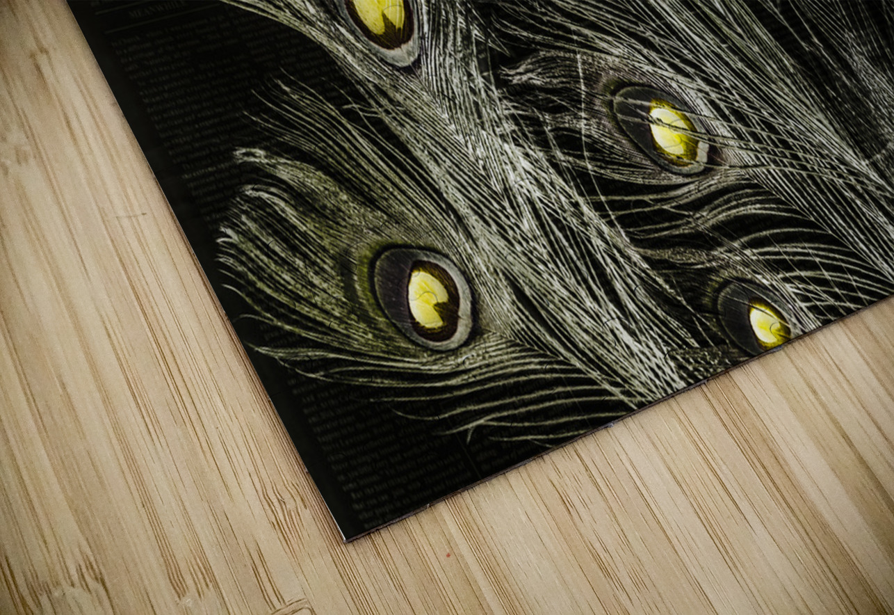 Of many eyes Jorgo Puzzle