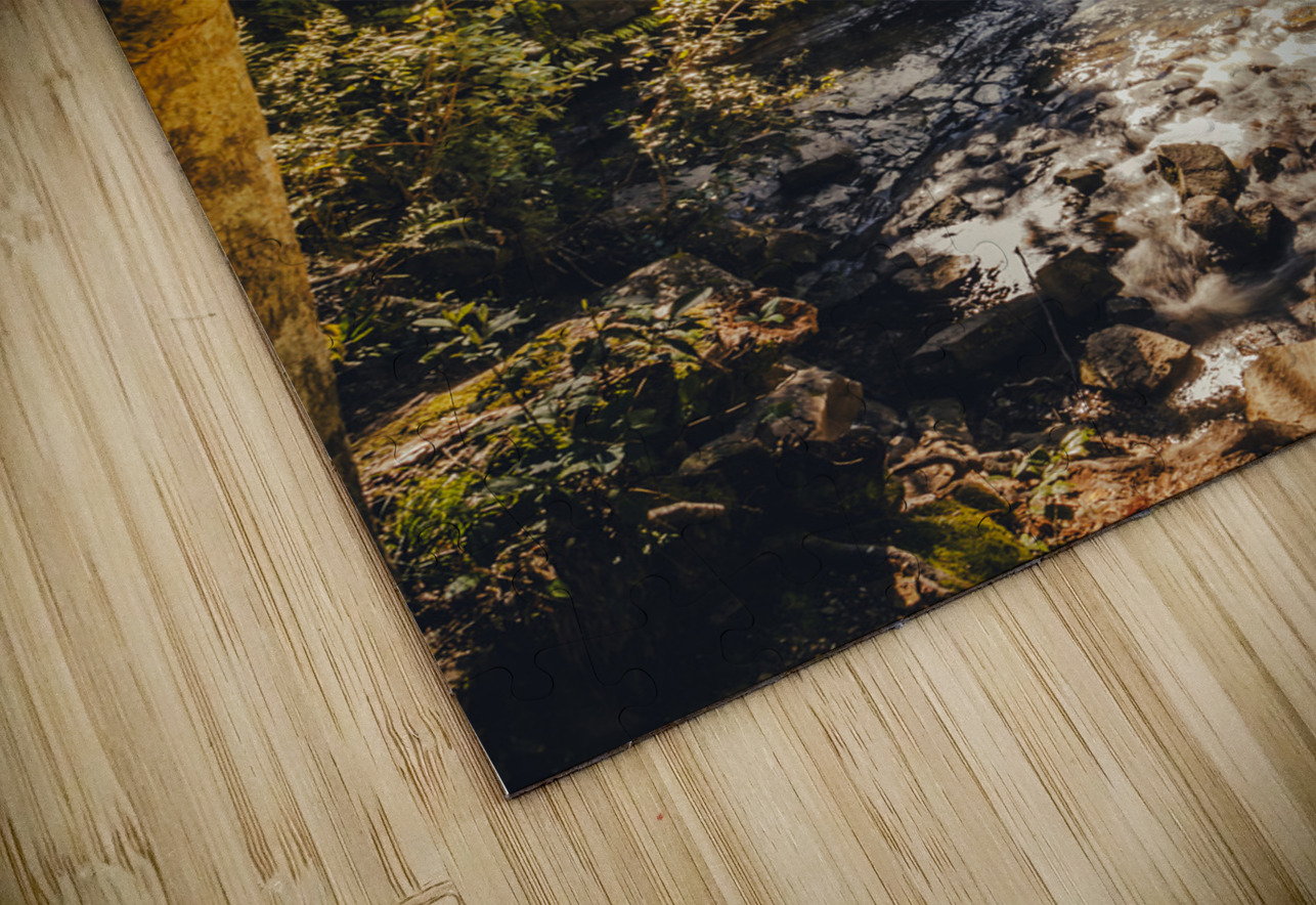 Water in fall Jorgo Puzzle