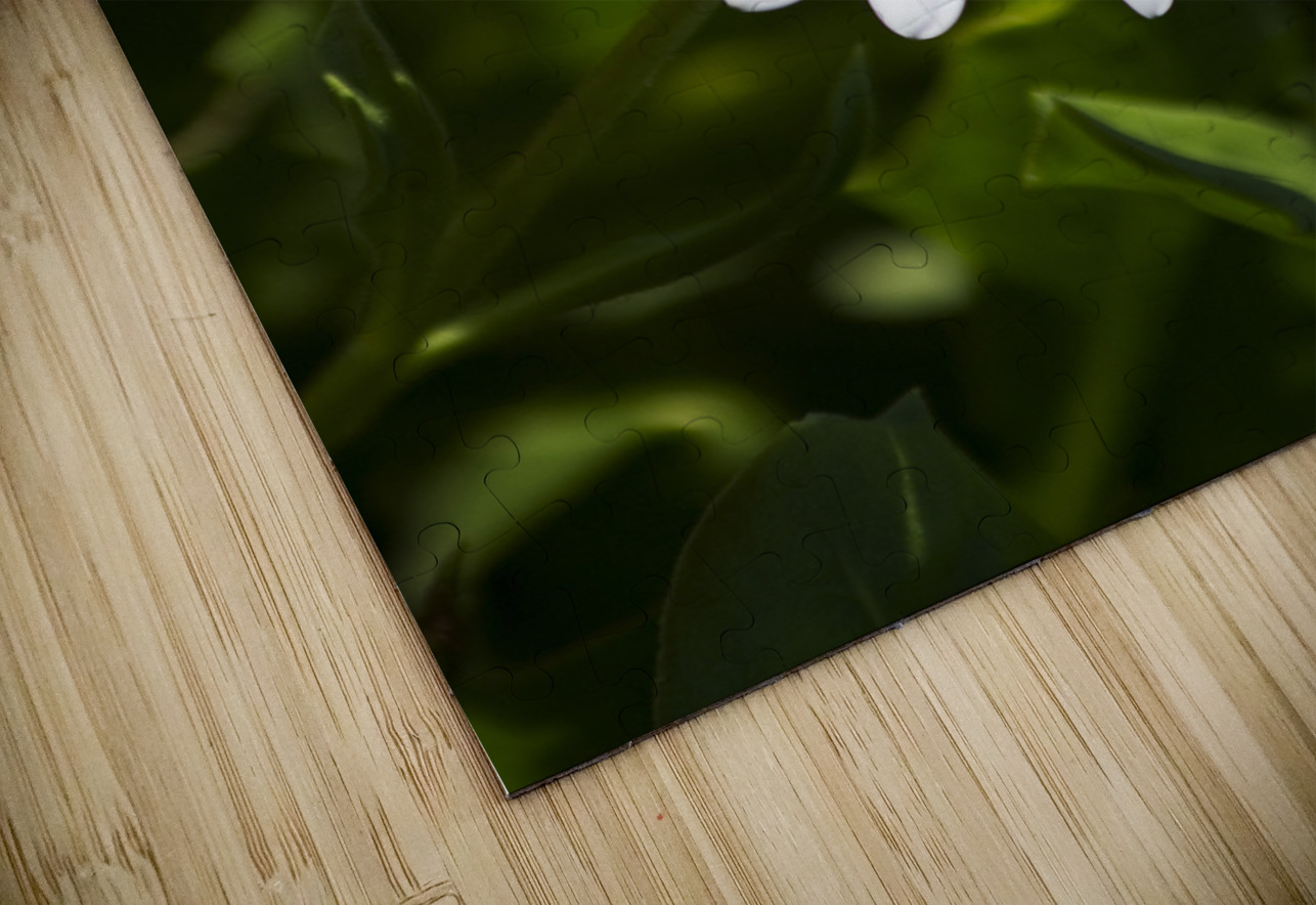 Blossoming Harmony Jorgo Puzzle