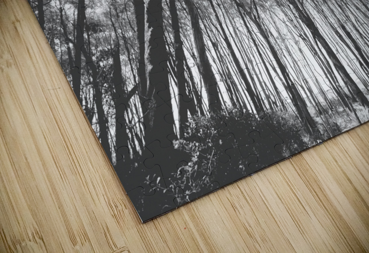 Parallels Jorgo Puzzle