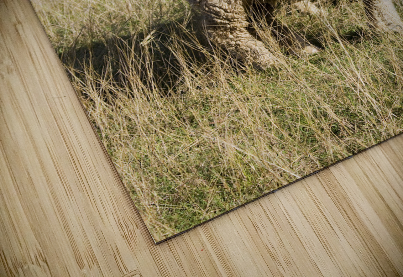 Farmyard Scene Jorgo Puzzle