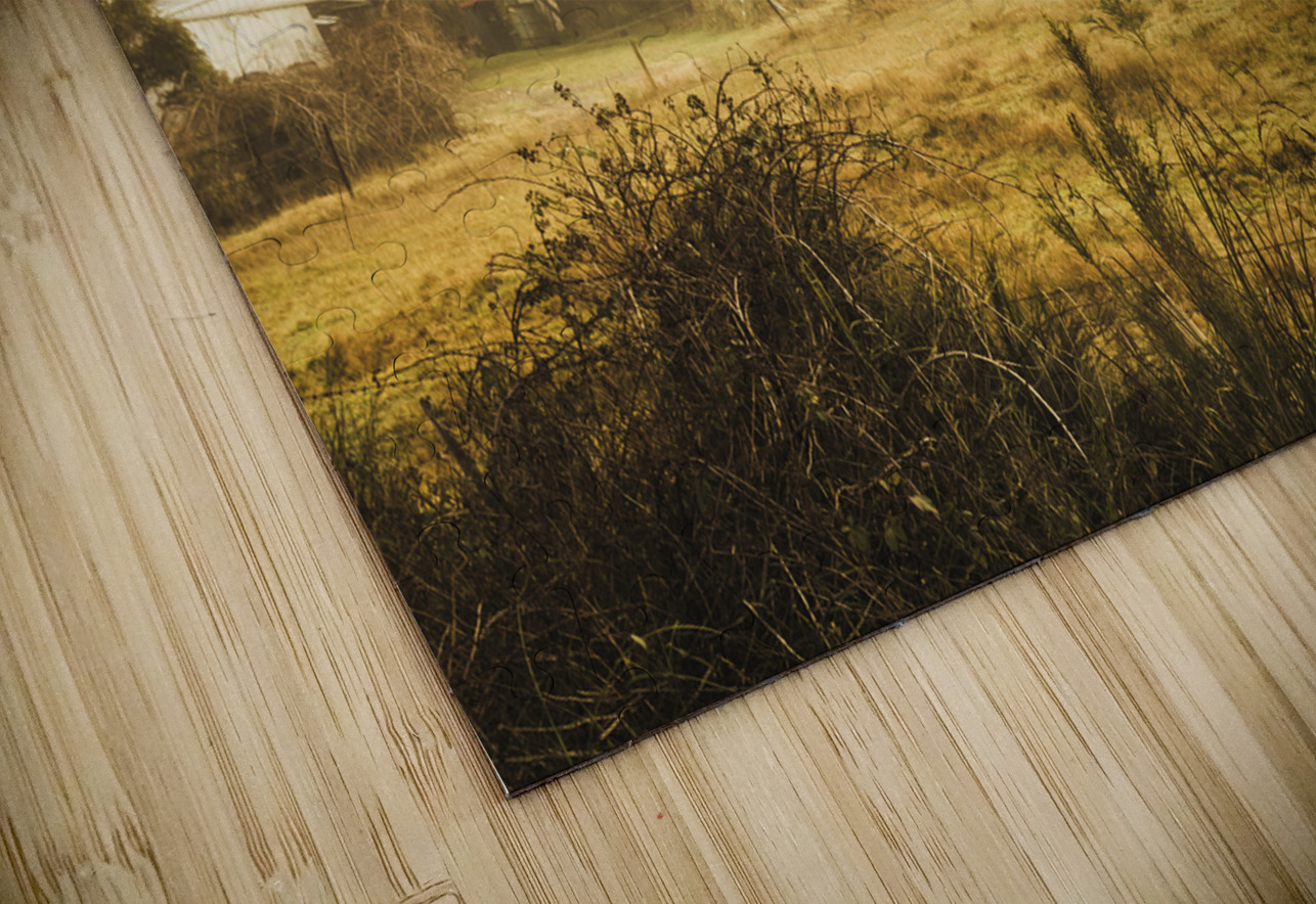 Quaint countryside scene of Glen Huon Jorgo Puzzle