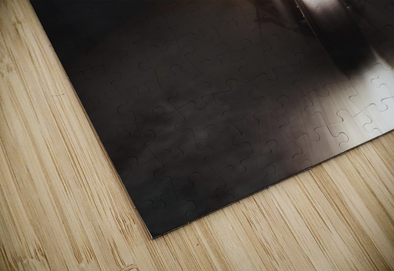 Motorcyclist Riding Bike At Fast Pace Jorgo Puzzle