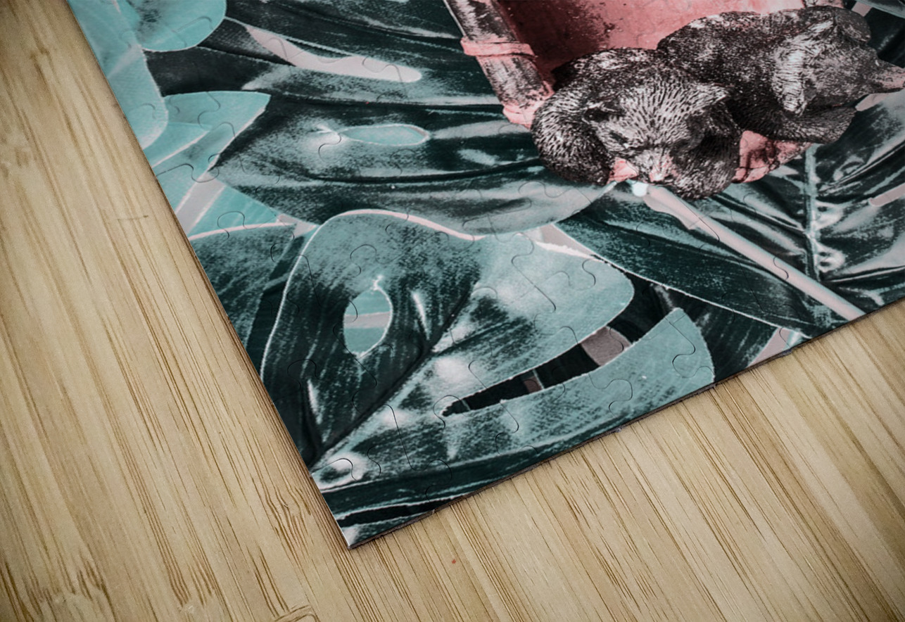 Jungle discovery Jorgo Puzzle