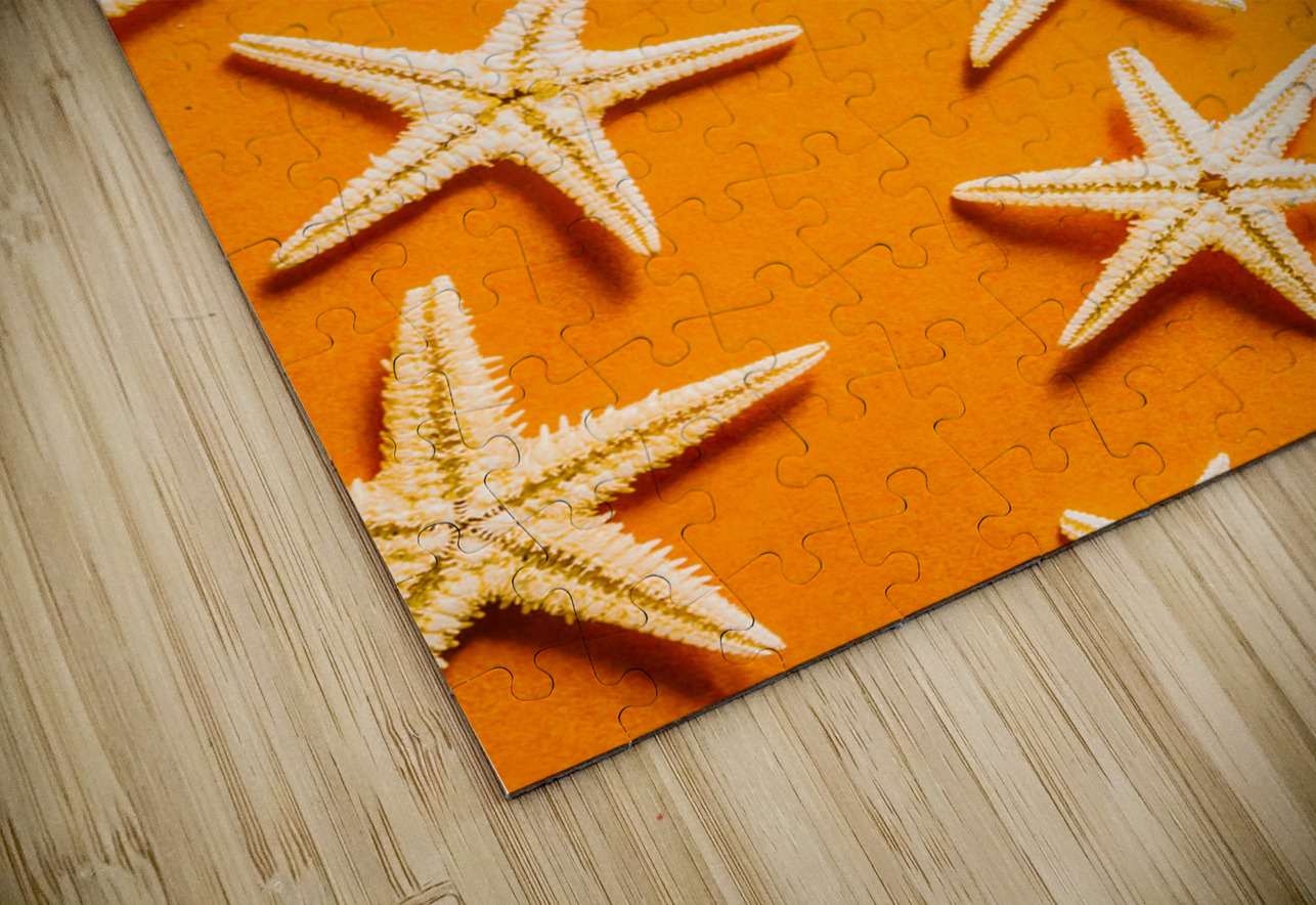 Seaing stars Jorgo Puzzle