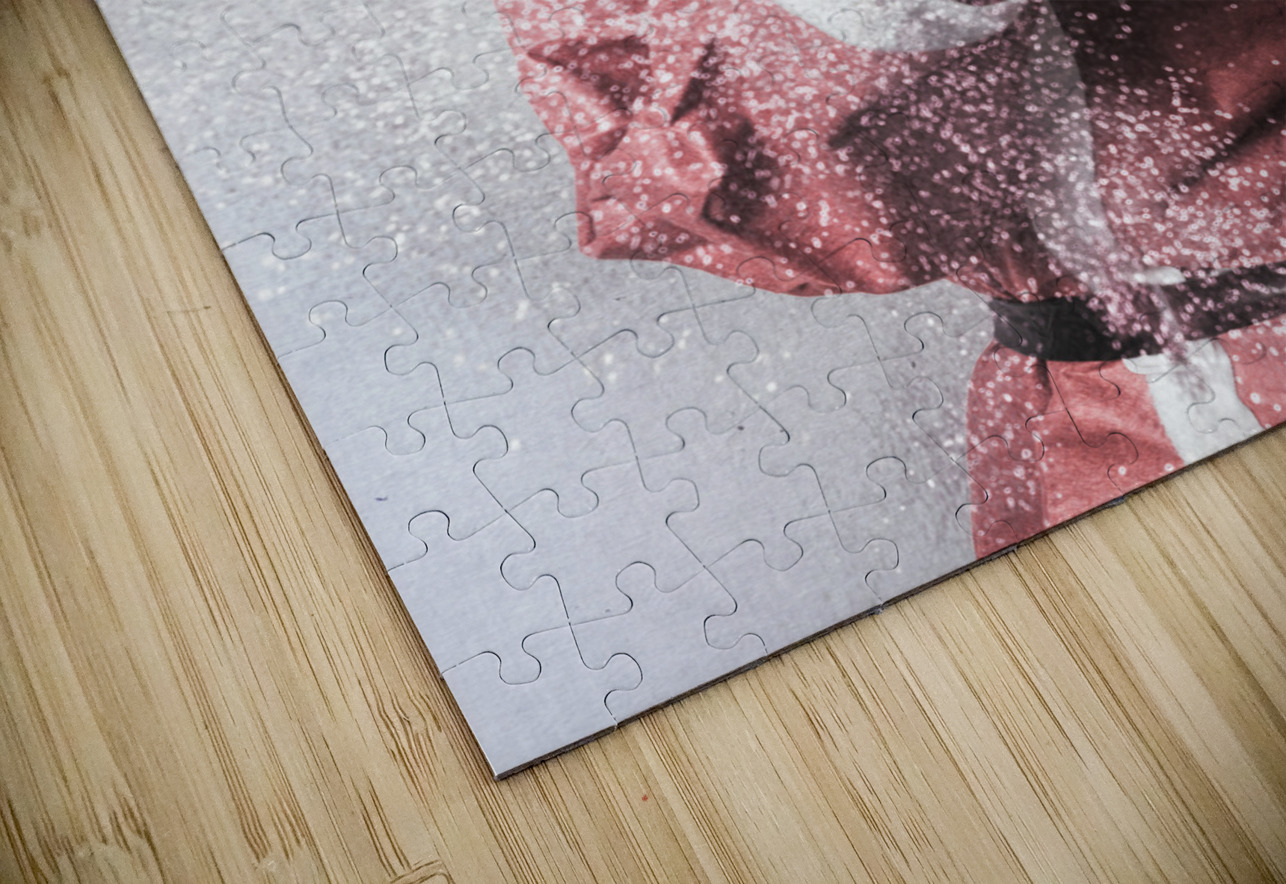 Magic of Christmas Jorgo Puzzle