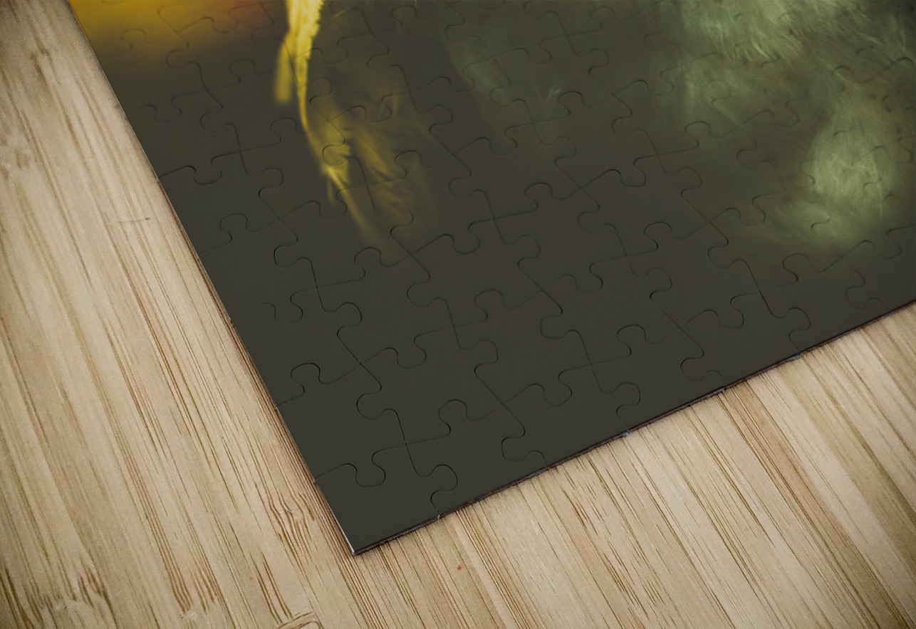 Night owl Jorgo Puzzle