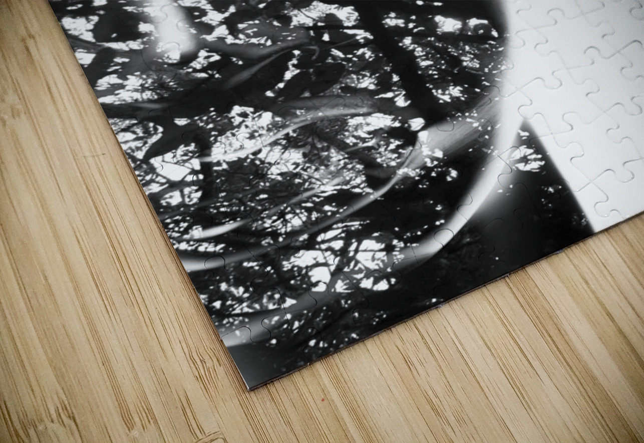 In Vision Jorgo Puzzle