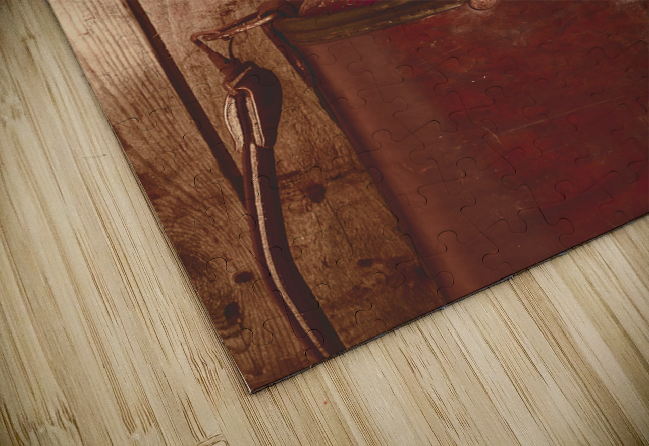 Woods and iron Jorgo Puzzle