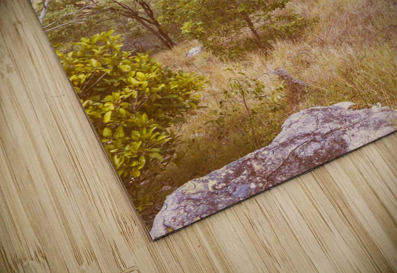 Calming countryside Jorgo Puzzle