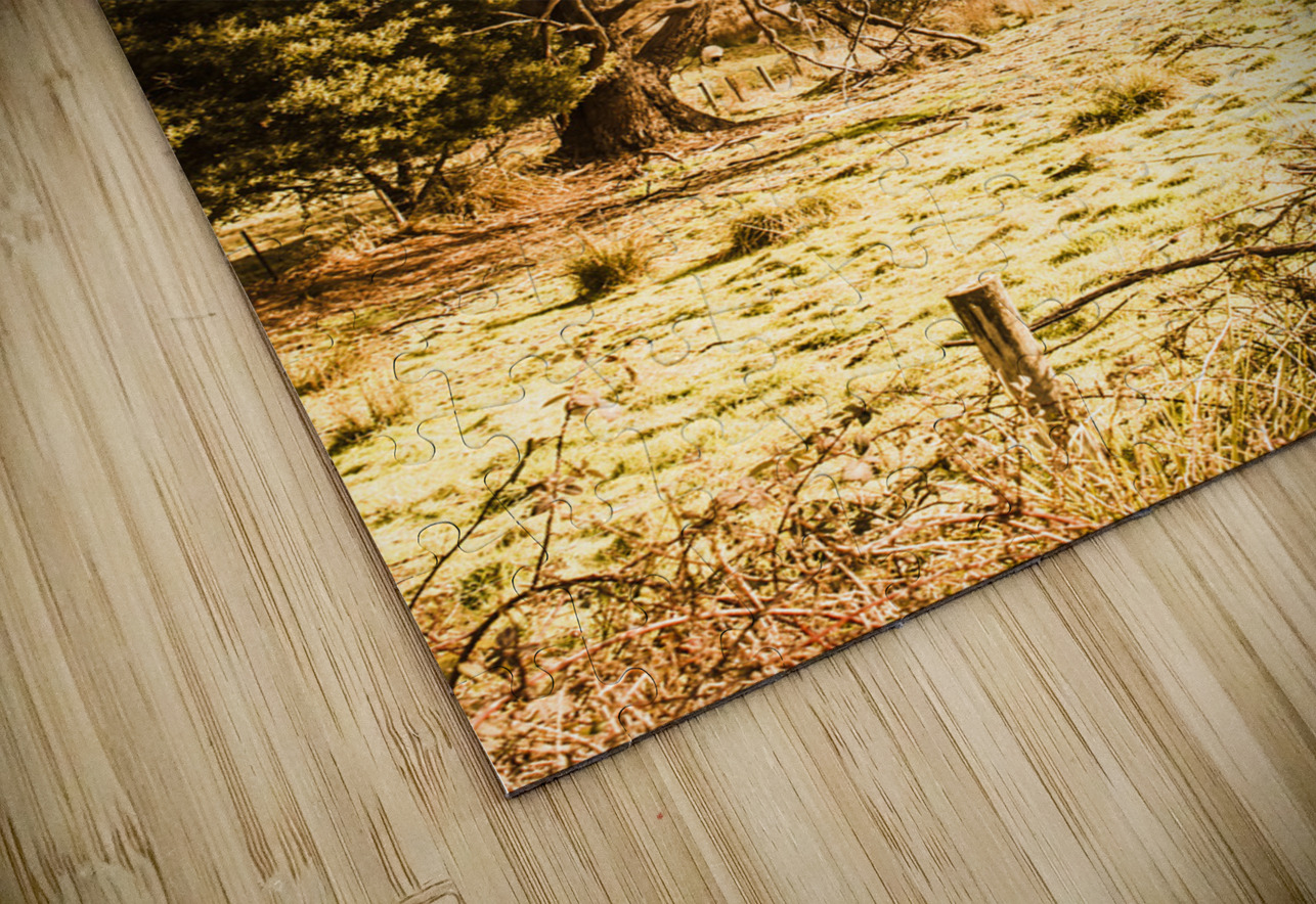 Vivid tree in a outback Australia Jorgo Puzzle