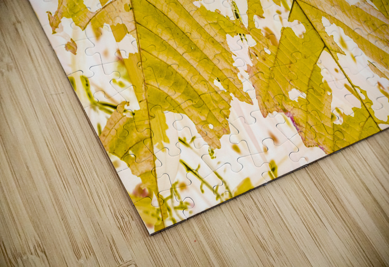 In fall Jorgo Puzzle