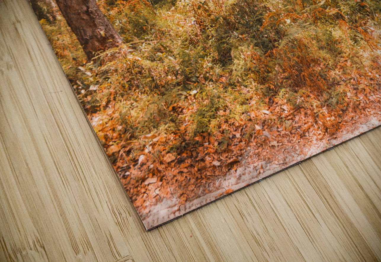 Falls Undergrowth  Jorgo Puzzle