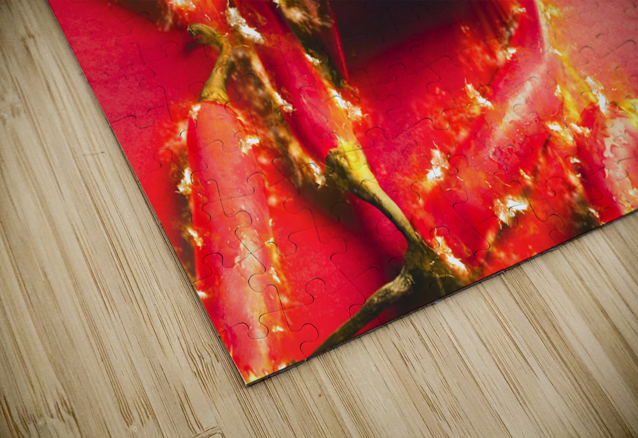 Seafood and heat it Jorgo Puzzle