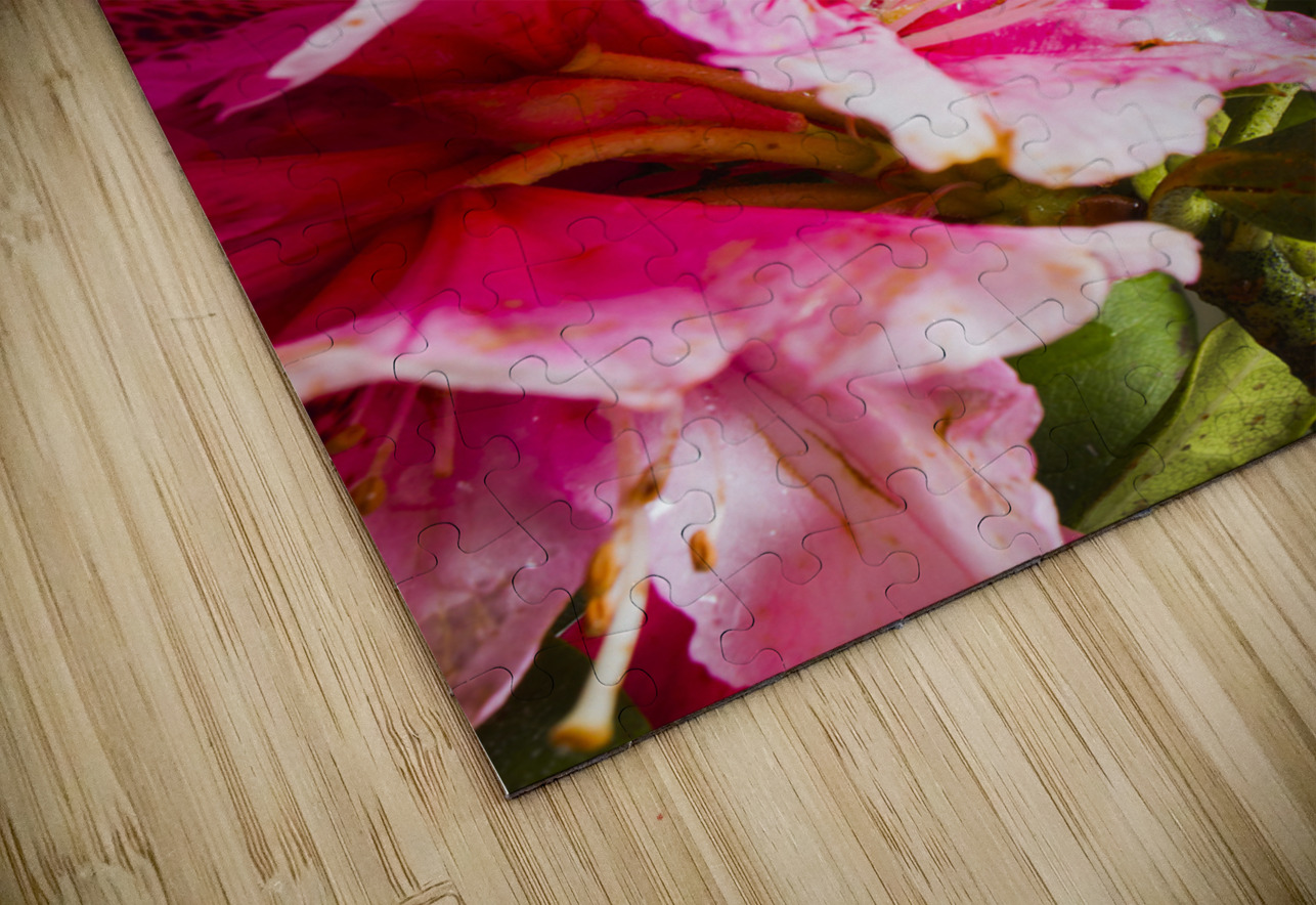 Spring of flower bouquets Jorgo Puzzle