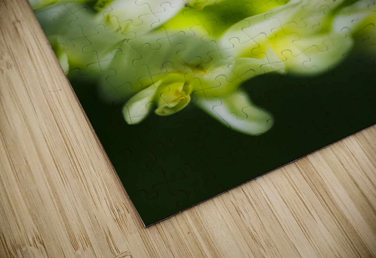 Nature Details Jorgo Puzzle