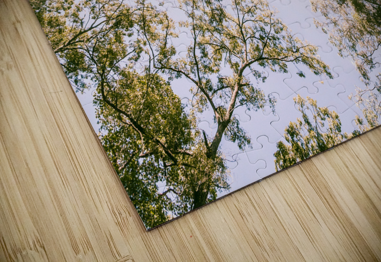 In Springnificant Jorgo Puzzle