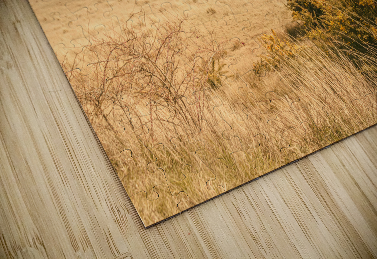 Country colours Jorgo Puzzle