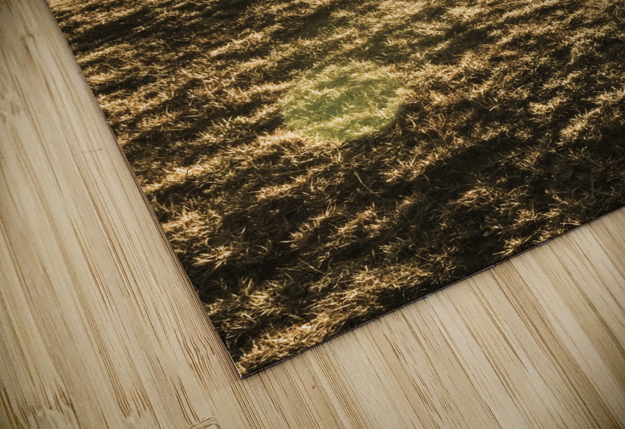 Plain morning Jorgo Puzzle