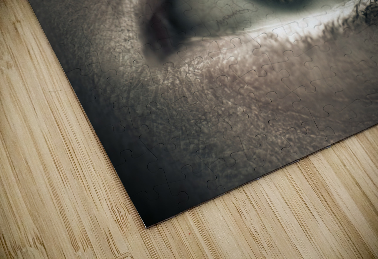 Eye Of Time Jorgo Puzzle