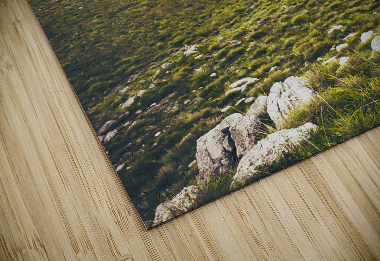 Mountain scene in West Coast of Tasmania Australia Jorgo Puzzle