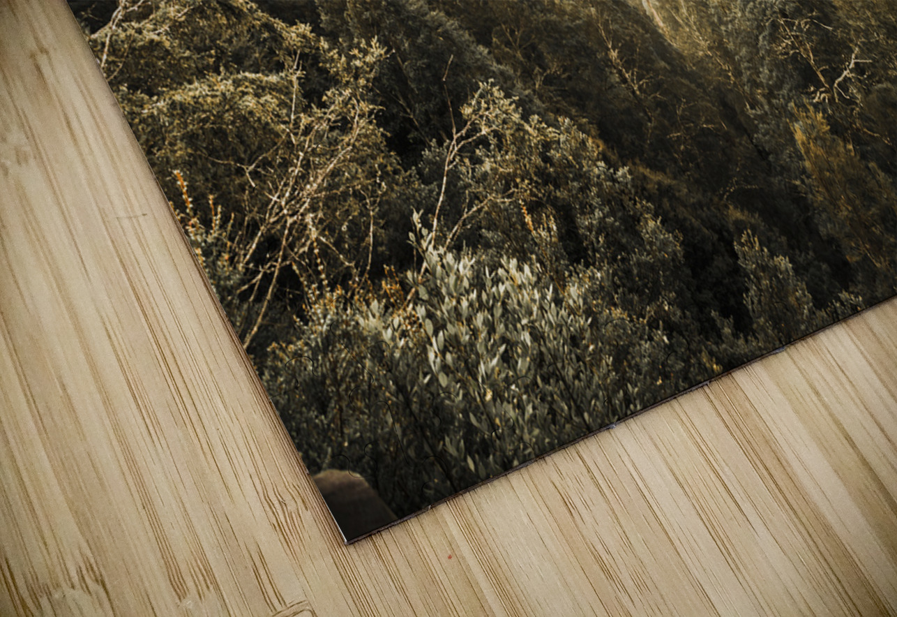 Hartz Mountains to Wellington Range Jorgo Puzzle