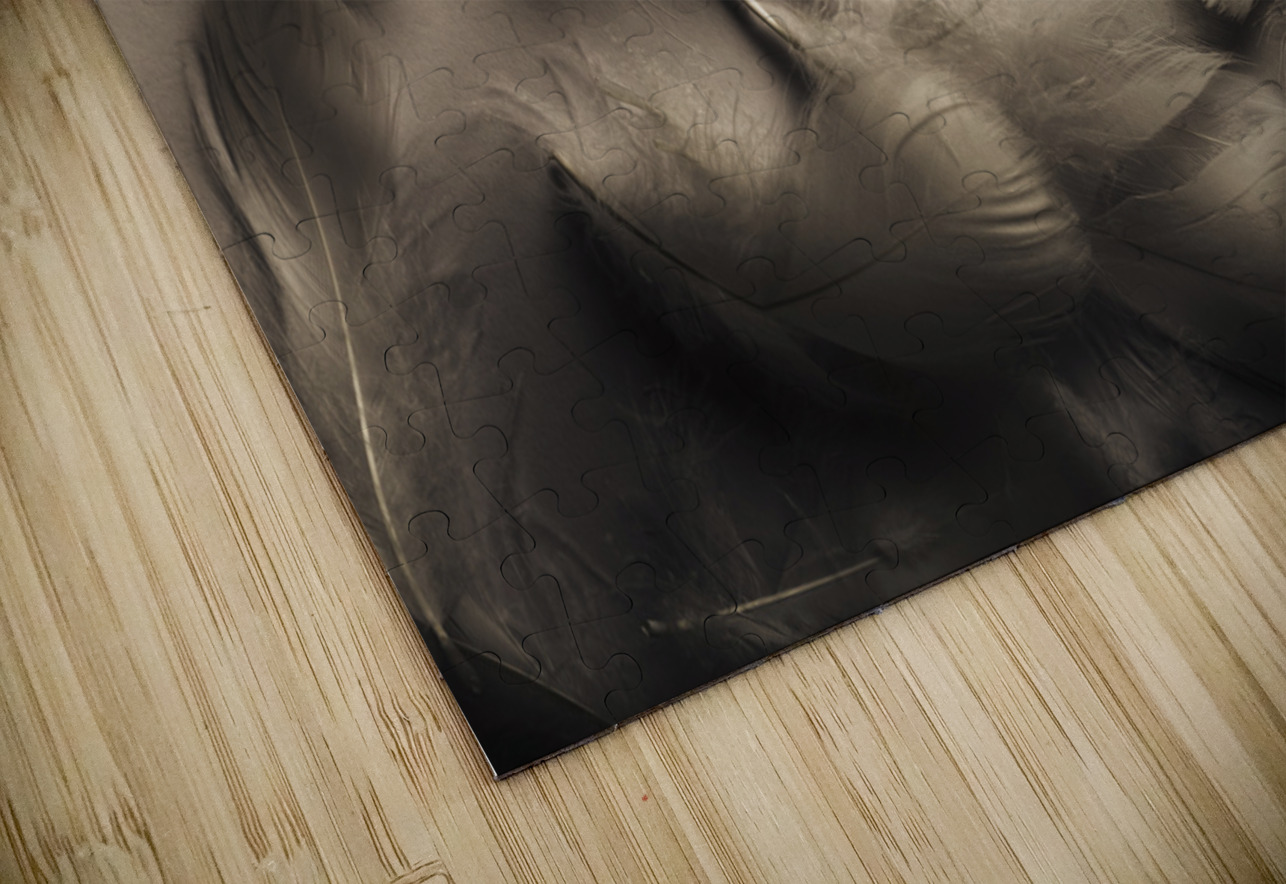 Soft contrasts Jorgo Puzzle