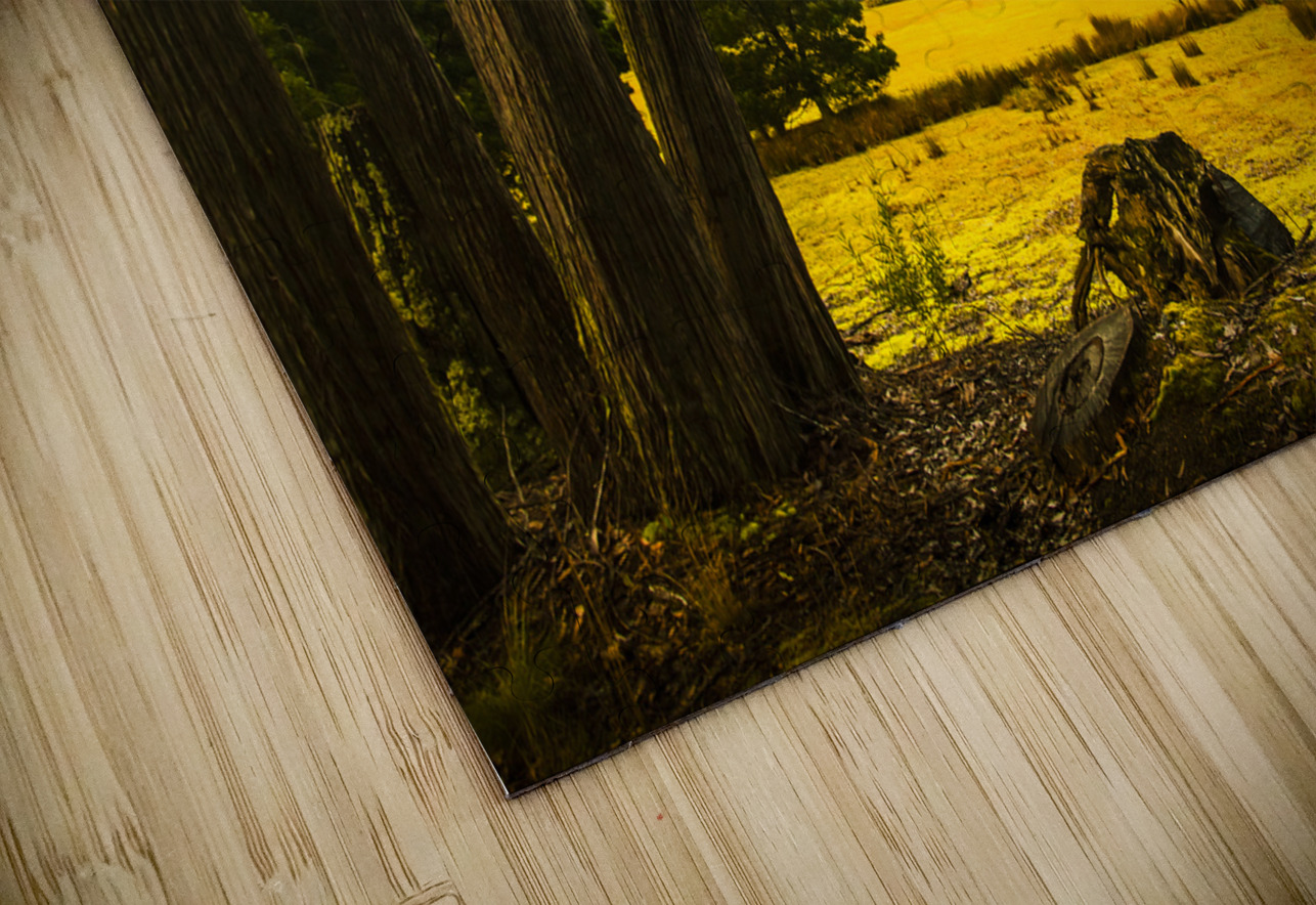 Vibrant autumn hillside Jorgo Puzzle