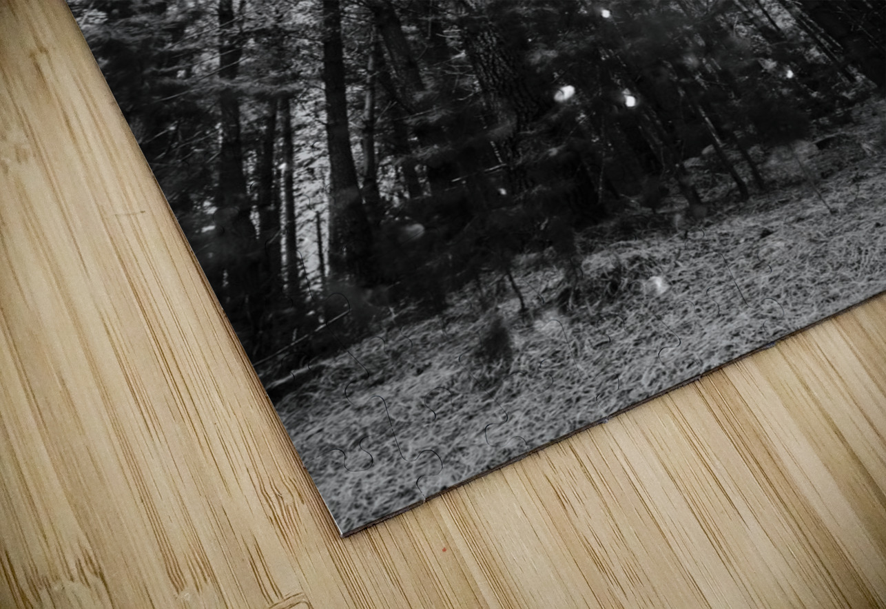 Reigning pines Jorgo Puzzle