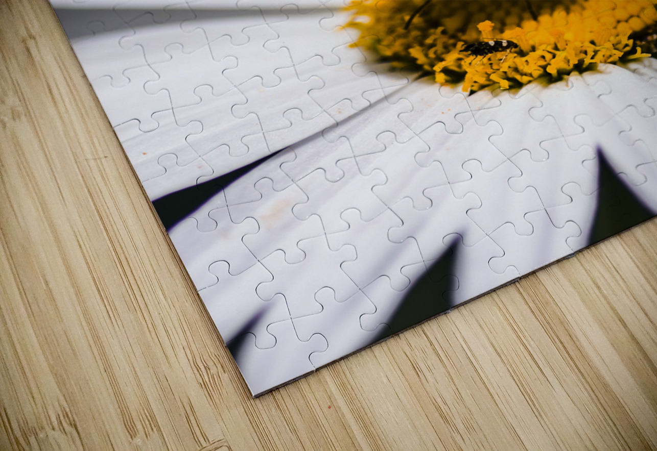 Moth insects on a bright and lush garden flower Jorgo Puzzle