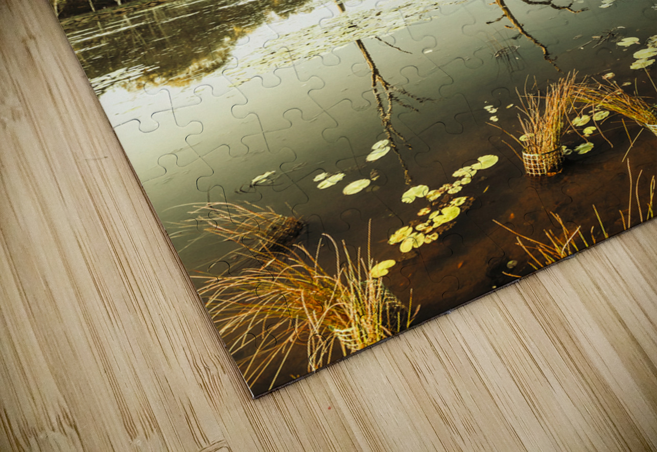 Still lake afternoon  Jorgo Puzzle
