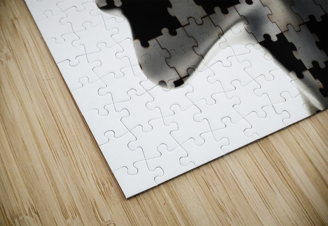 The human quest Jorgo Puzzle