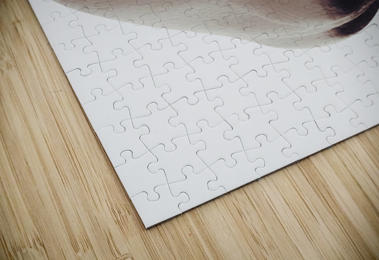 Thoughts and creation Jorgo Puzzle