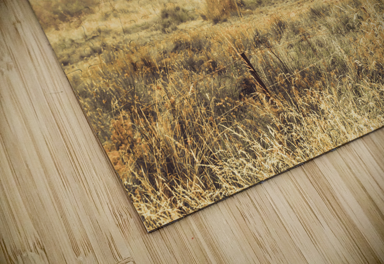 Stallion homestead Jorgo Puzzle