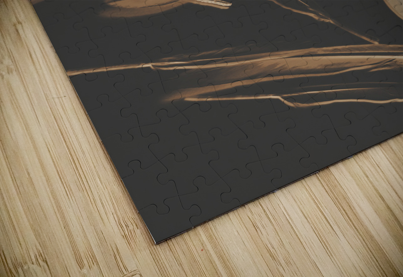 Feather Feature  Jorgo Puzzle