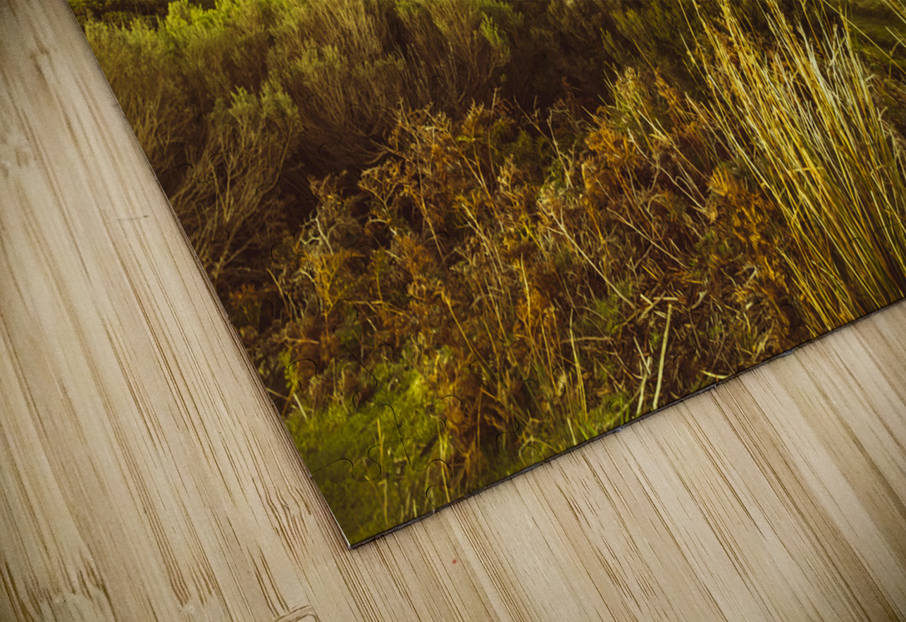 Lighthouse Bay Beach Bruny Island Jorgo Puzzle