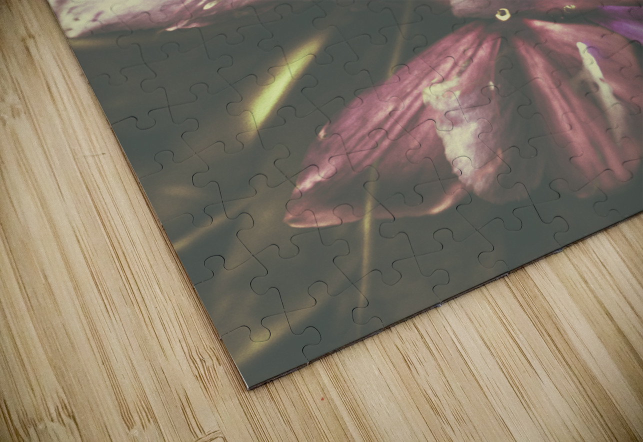 Flow er Jorgo Puzzle