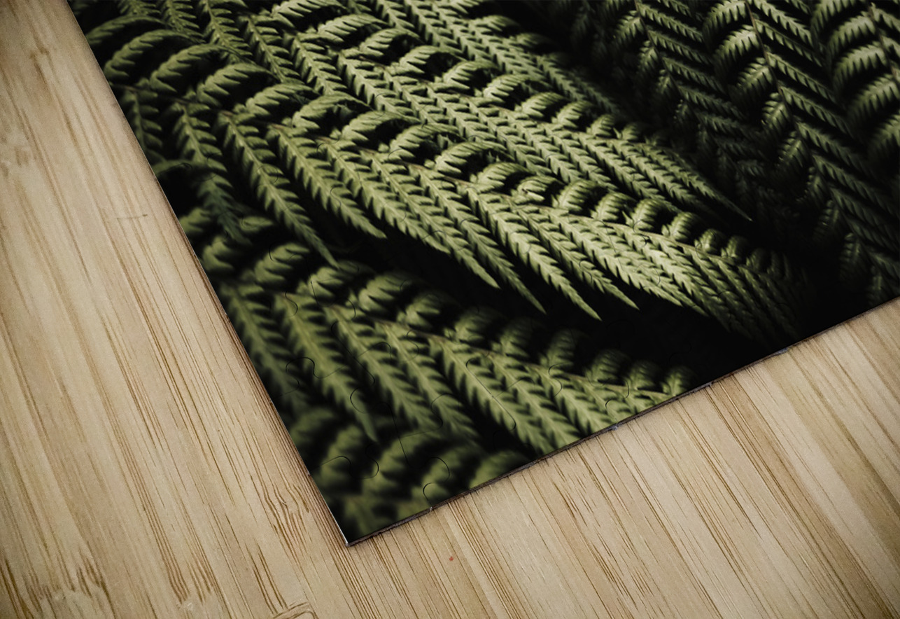 The exotic dark jungle Jorgo Puzzle