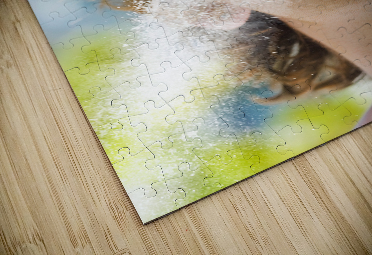 Sweet Taste Of Success Jorgo Puzzle