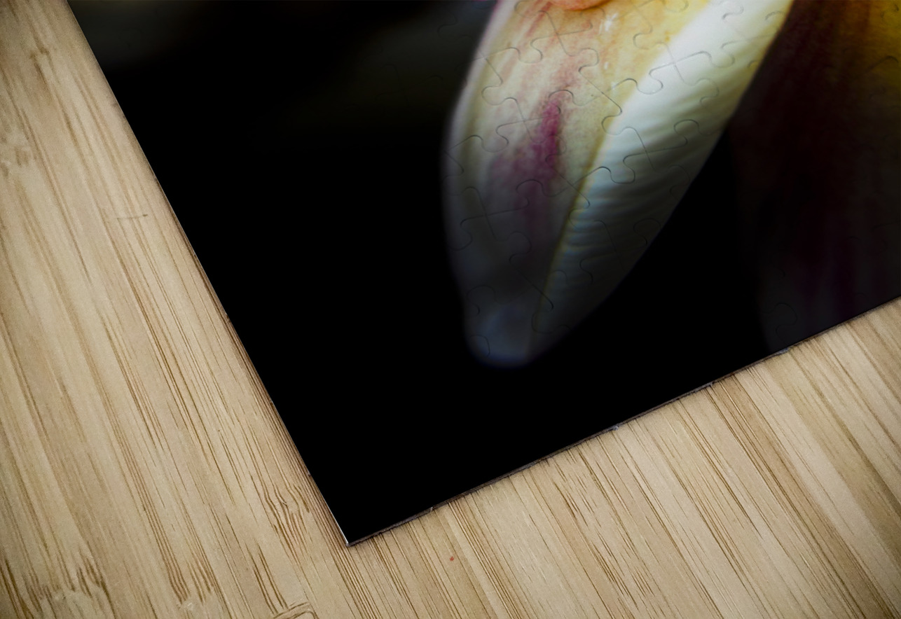 Touch of summer Jorgo Puzzle