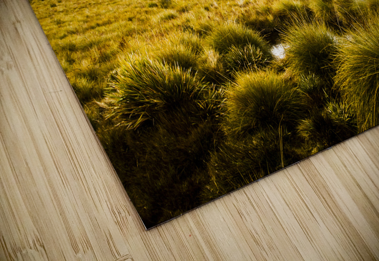 Mount Arrowsmith Tasmania Australia Jorgo Puzzle