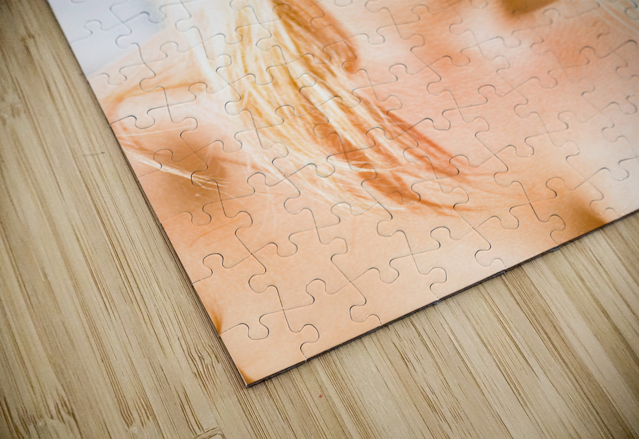 Face Of A Woman In Sunglasses On Holiday Jorgo Puzzle