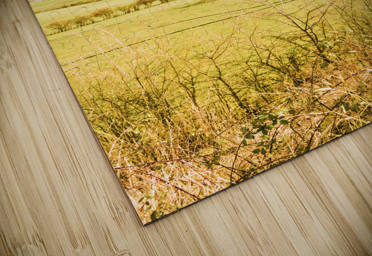 Australian open spaces  Jorgo Puzzle