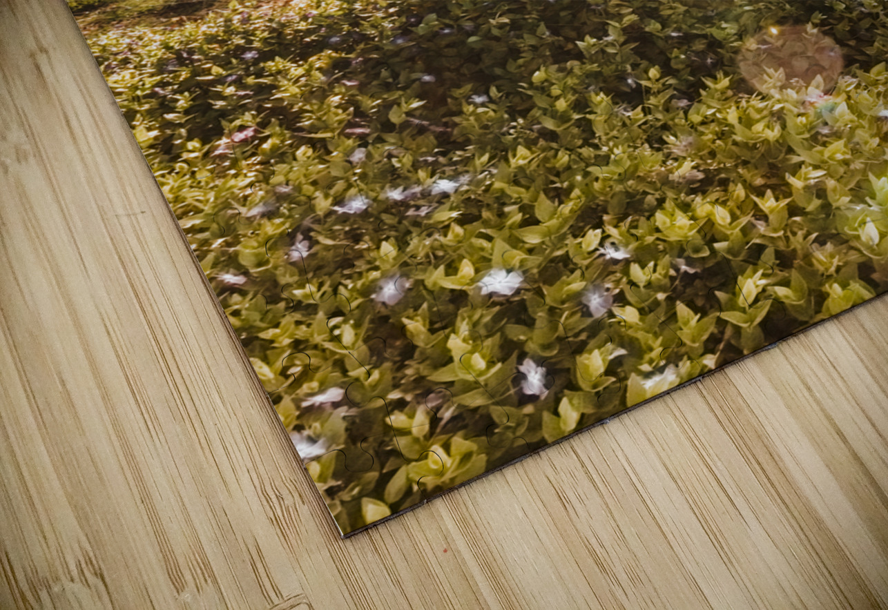 Dusky fields Jorgo Puzzle