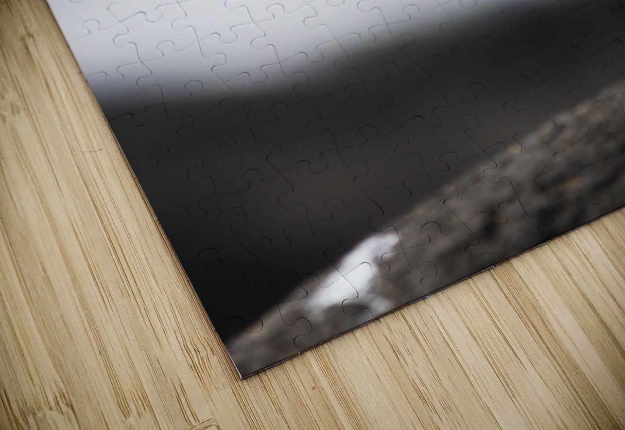 Ocean Bird Jorgo Puzzle