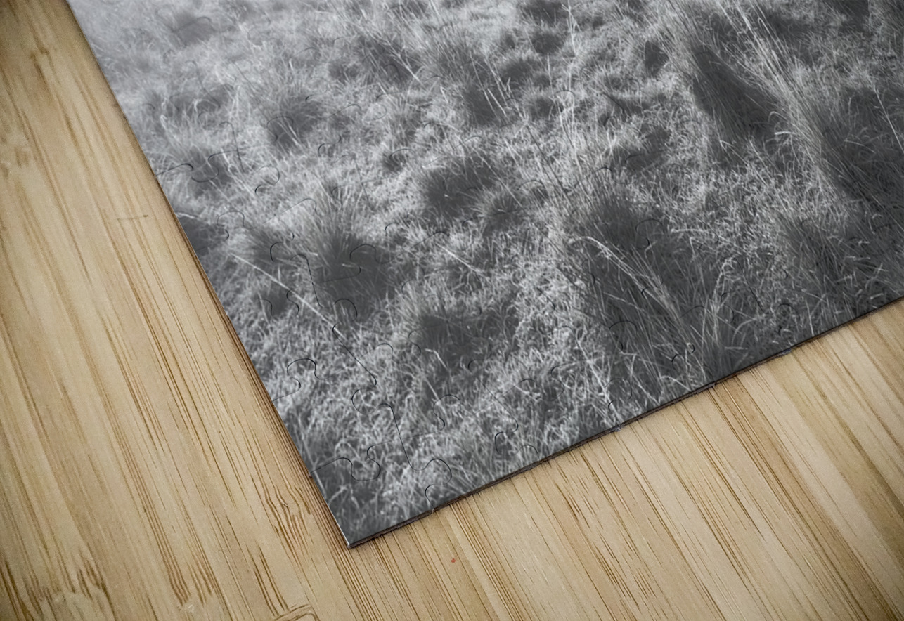 Wondrous misty background Jorgo Puzzle